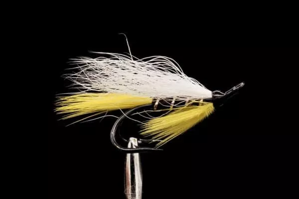 White Wing