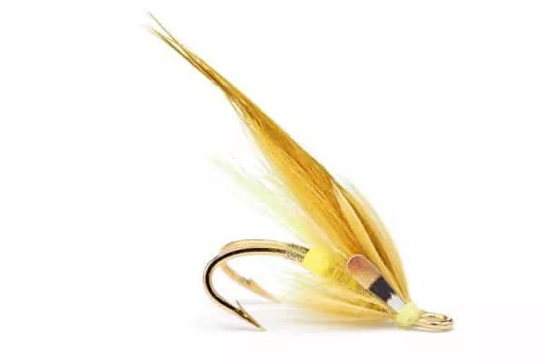 Dirty Banana Fly - Image 2