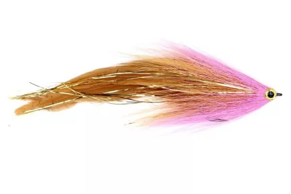 Nelli - Image 2