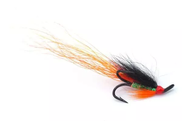 Autumn Brahan Longtail