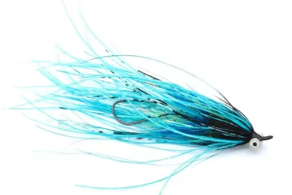 Black & Blue Intruder