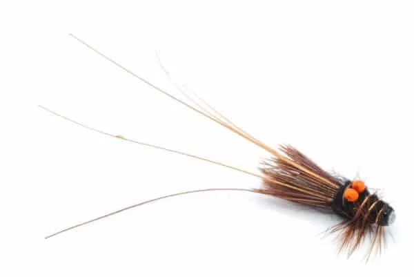 Black Eyed Prawn tungstenputki - Image 2