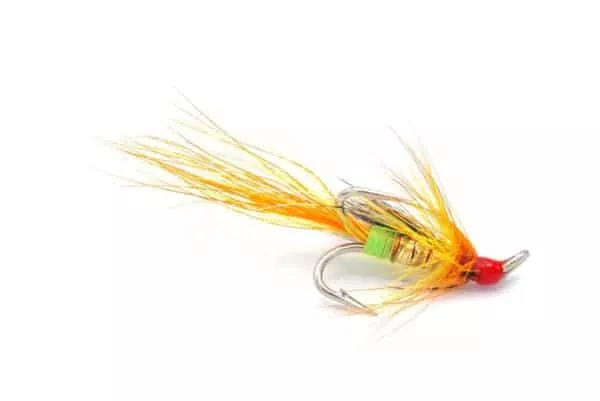 Carron Shrimp kolmihaara
