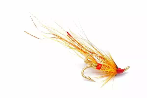 Girnel Shrimp kolmihaara