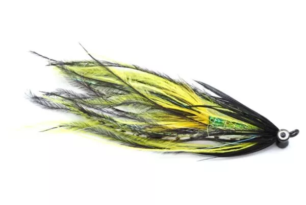 Black & Yellow Intruder