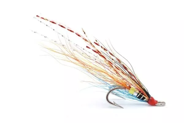 Tronach Shrimp