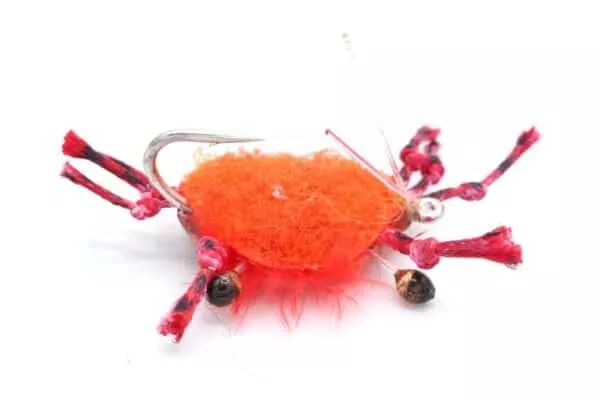 Velcro Crab