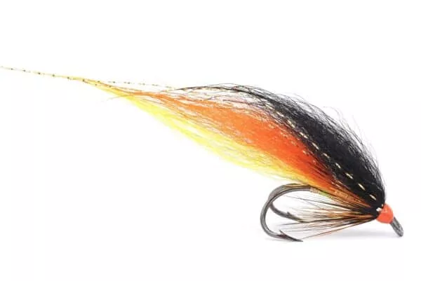 Willie Gunn Fox Wing