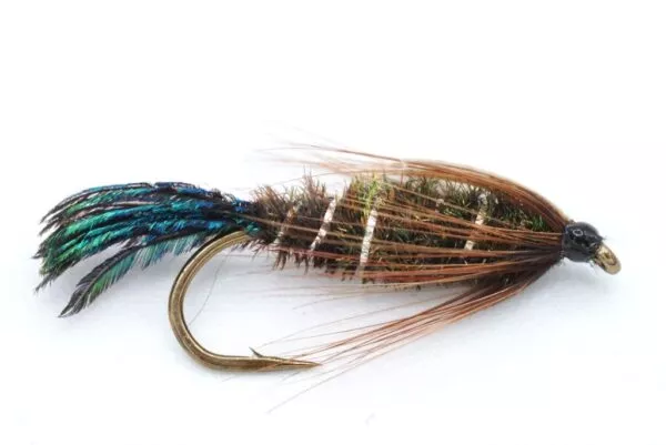 Zug Bug