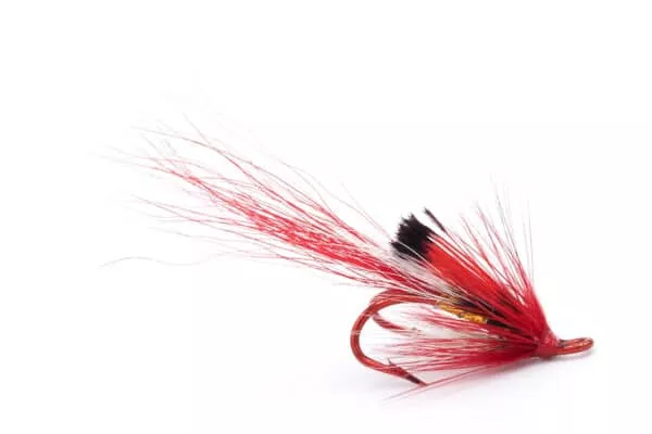 Ally's Red Shrimp Red Double