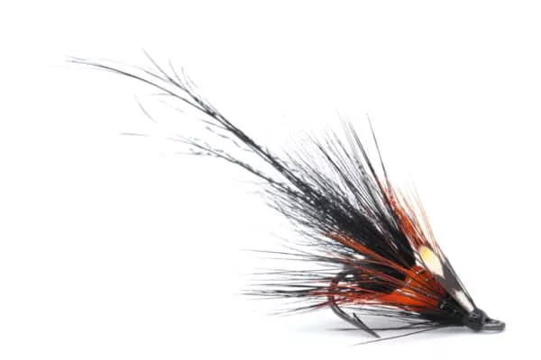 PBP Shrimp Black