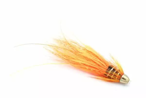 Franc N Snaelda Cascade Conehead