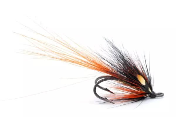 Ballogie Shrimp