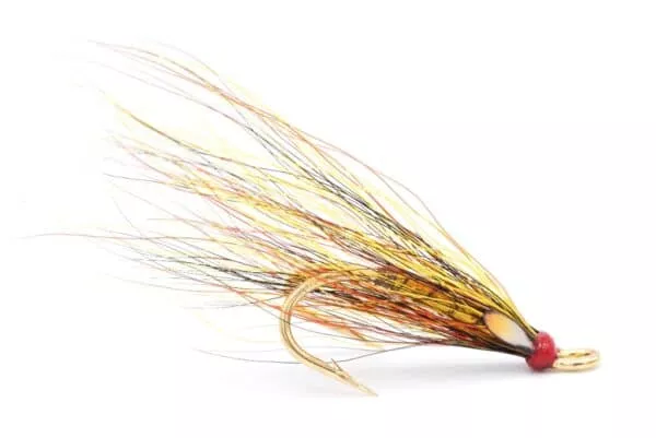 Willie Gunn Gold