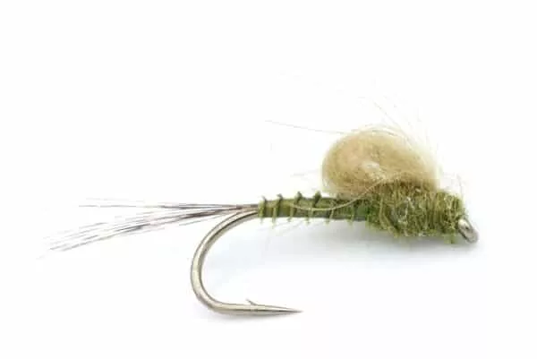 CDC Olive Emerger