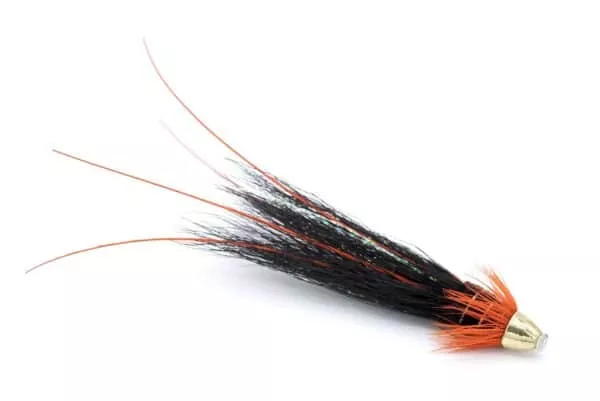 Franc N Snaelda Orange & Black Conehead
