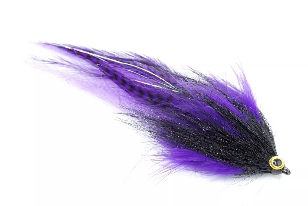 Purple Brushy Fly