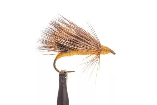 Nelson's Caddis