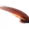 Phatakorva Disc Cone tube fly, also known as Pahtakorva