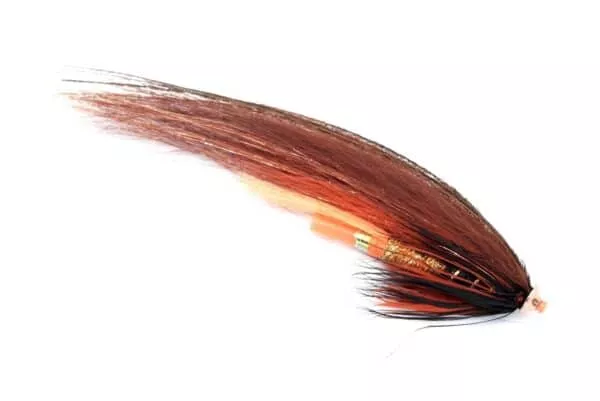 Phatakorva Disc Cone putki