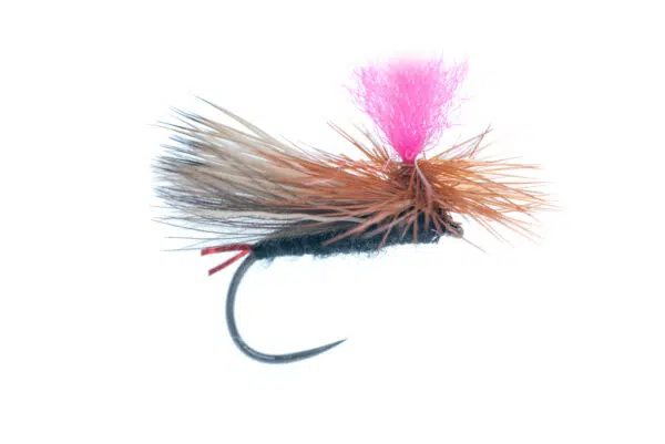 CDC Caddis