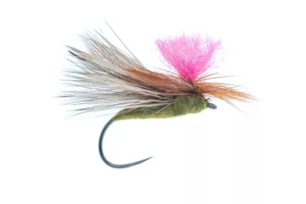 CDC Caddis - Image 4