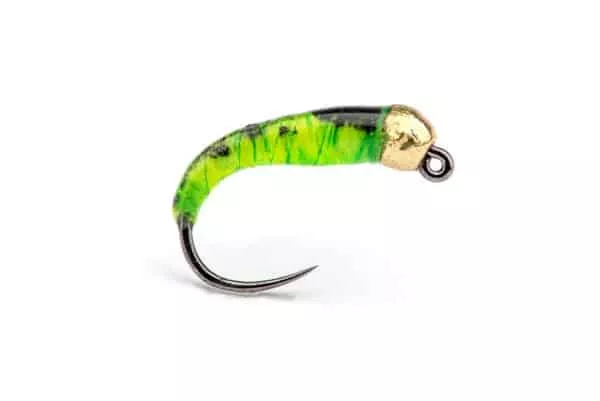 Liimalarva Gold Bead - Image 4