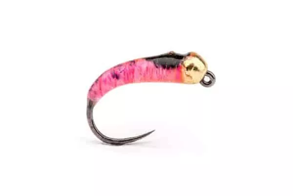 Liimalarva Gold Bead - Image 2