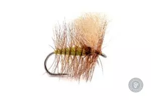 Green Puh fly