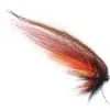 Phatakorva fluga