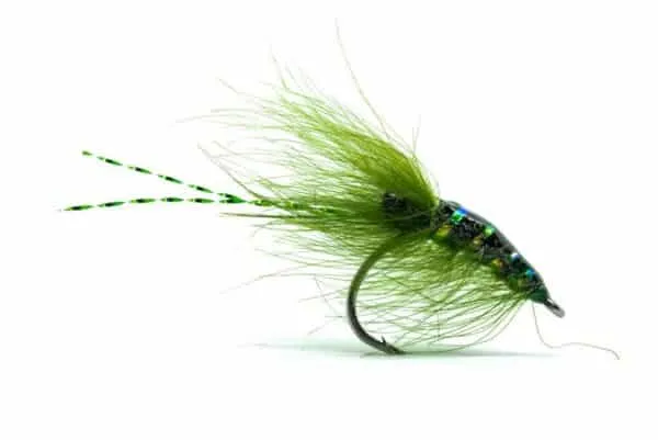 CDC Shrimp - Image 3