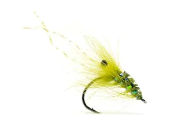 CDC Shrimp - Image 4