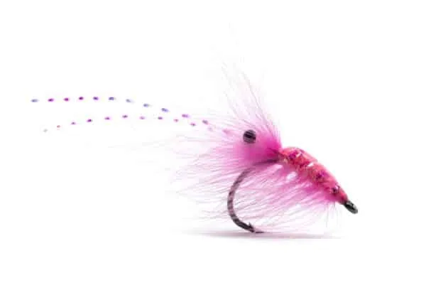 Pink CDC Shrimp fly