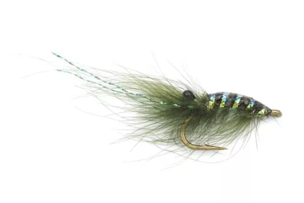 CDC Shrimp - Image 4
