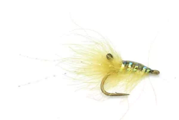 CDC Shrimp - Image 3