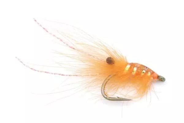 CDC Shrimp - Image 2