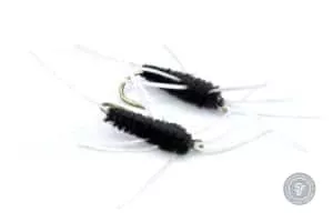 Girdle Bug, also known as the Galles Bug rubberleg fly