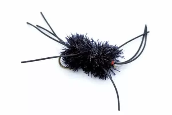 Ungly Bug