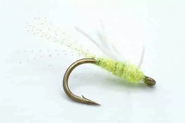 EMB Yuk-Bug - Image 2