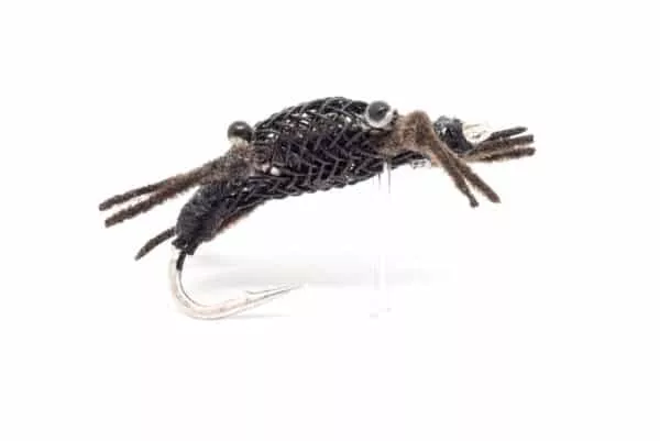 Alphlexo Crab fly