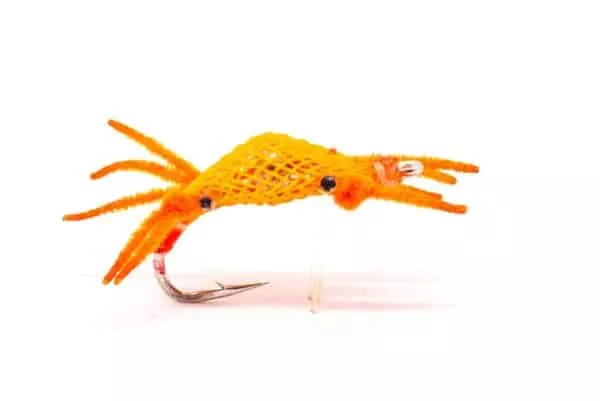 Alphlexo Crab fly