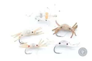 Selection of aplhlexo crab flies