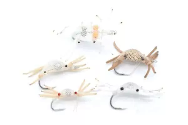 Selection of aplhlexo crab flies