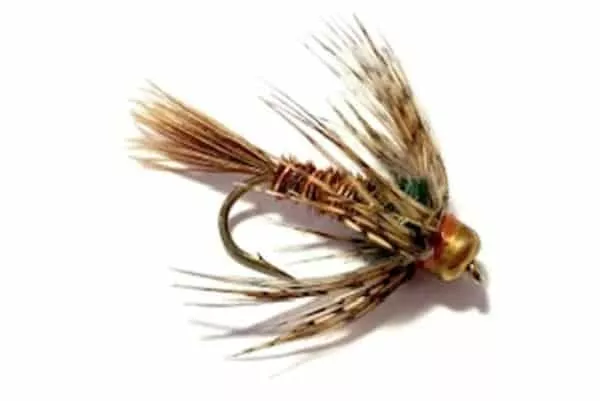 Pheasant tail soft hackle beadhead fly