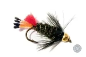 Redtail Peacock Beadhead fly