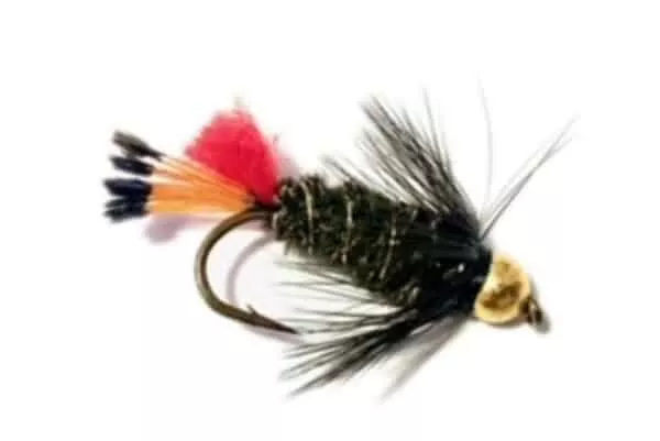 Redtail Peacock Beadhead fly