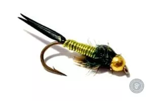 Copper John Chartreuse Beadhead Fly
