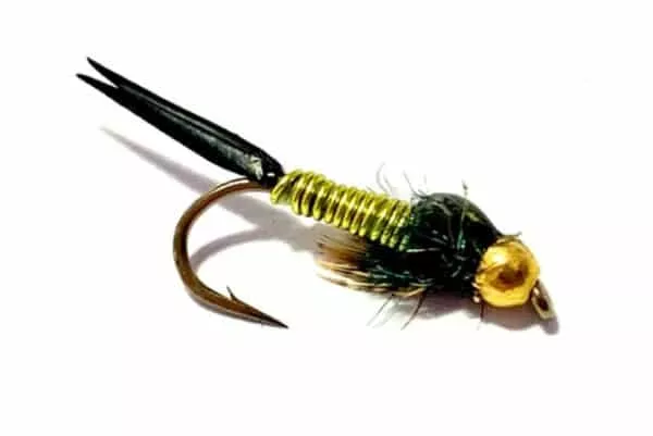 Copper John Chartreuse Beadhead Fly