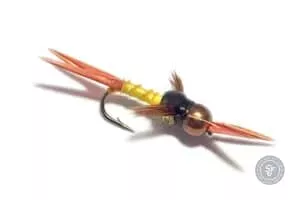 Yellow Prince Nymph fly