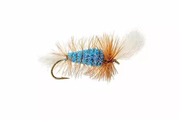 Wulff Bomber salmon dry fly in blue